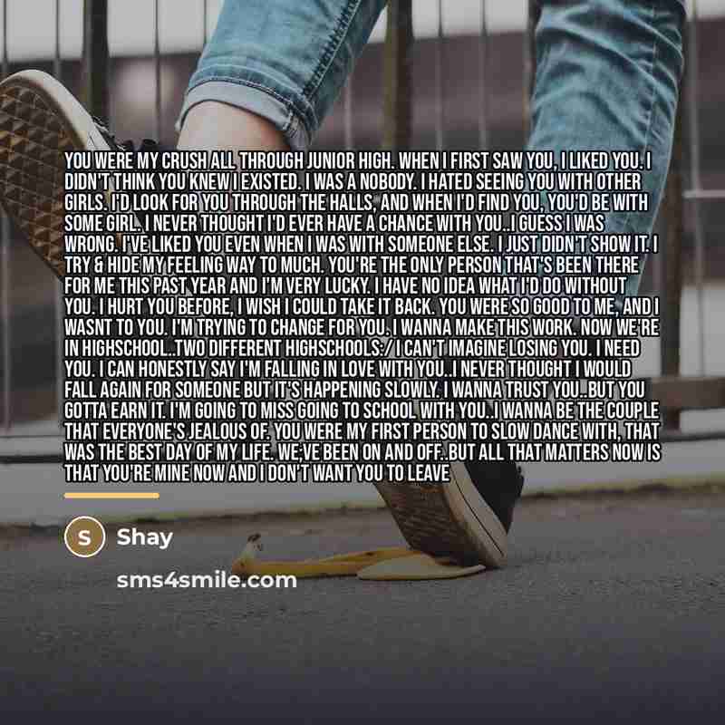 “You were my crush all through junior high. when I…” quote by Shay