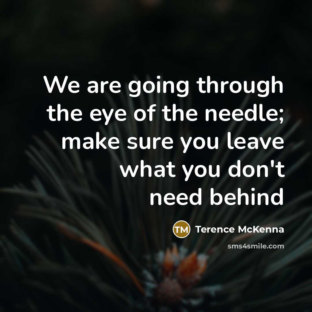 “We are going through the eye of the needle; make…” quote by Terence McKenna