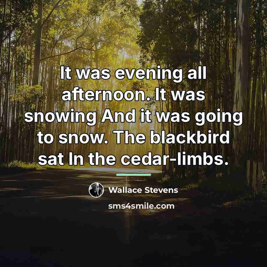 “It was evening all afternoon. It was snowing And it…” quote by Wallace Stevens
