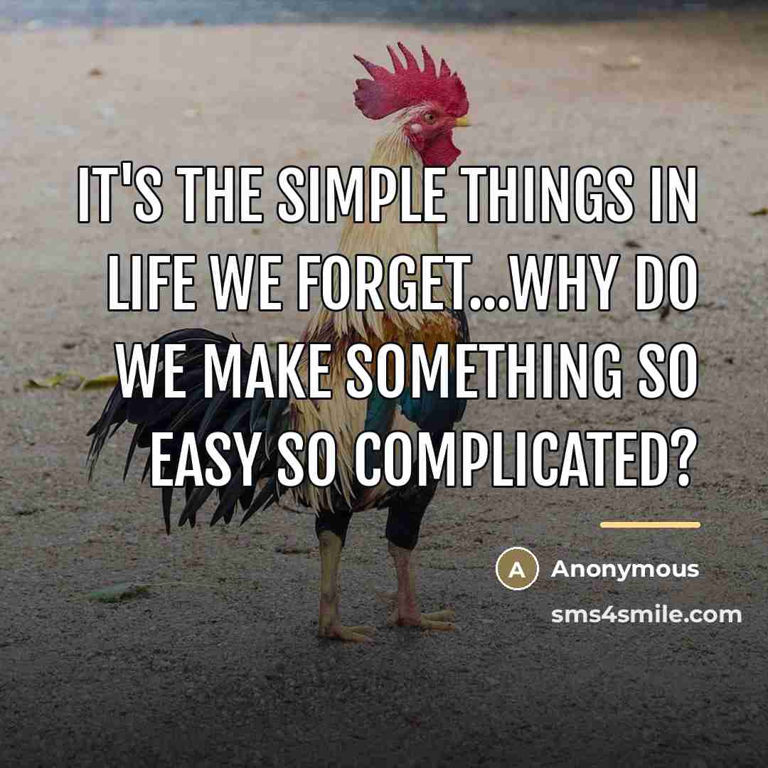 “It's the simple things in life we forget...why do we…” quote by Anonymous