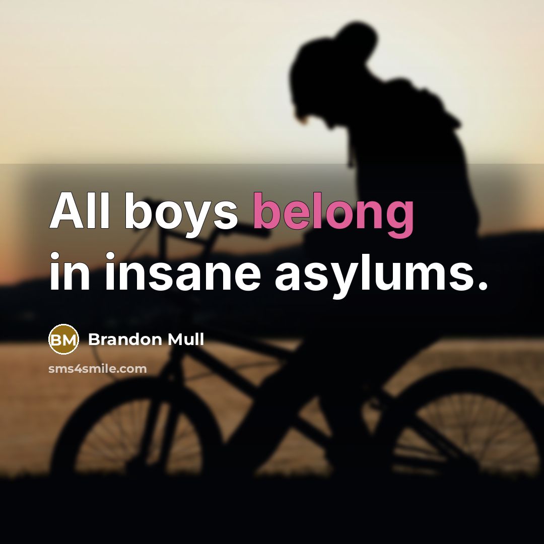 “All boys belong in insane asylums.…” quote by Brandon Mull