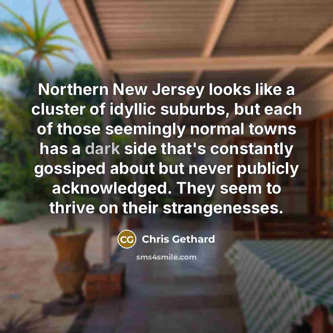 “Northern New Jersey looks like a cluster of idyllic suburbs,…” quote by Chris Gethard