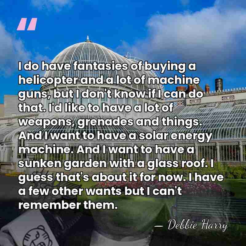 I do have fantasies of buying a helicopter and a lot of&hellip; - Debbie Harry