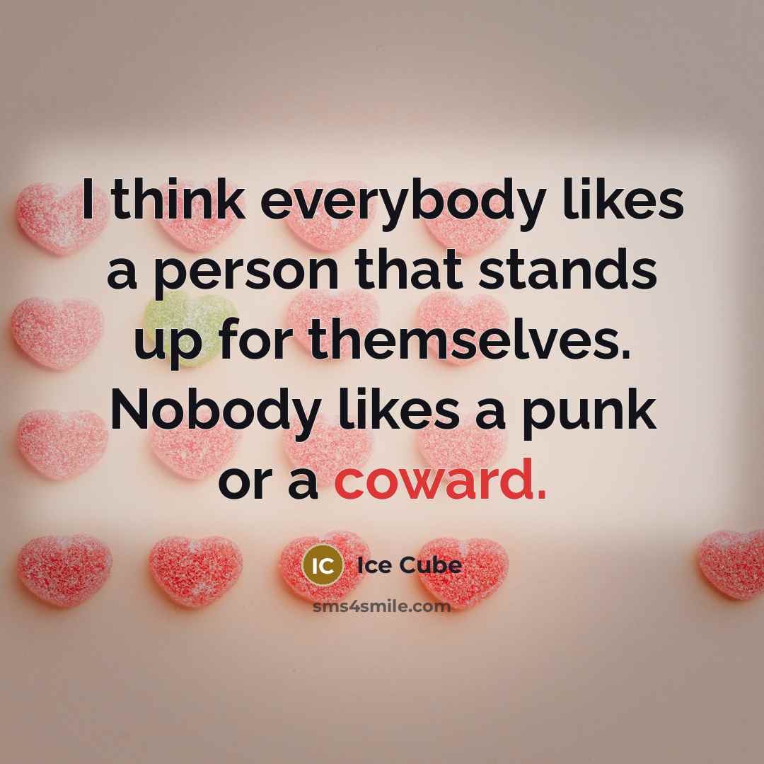 “I think everybody likes a person that stands up for…” quote by Ice Cube