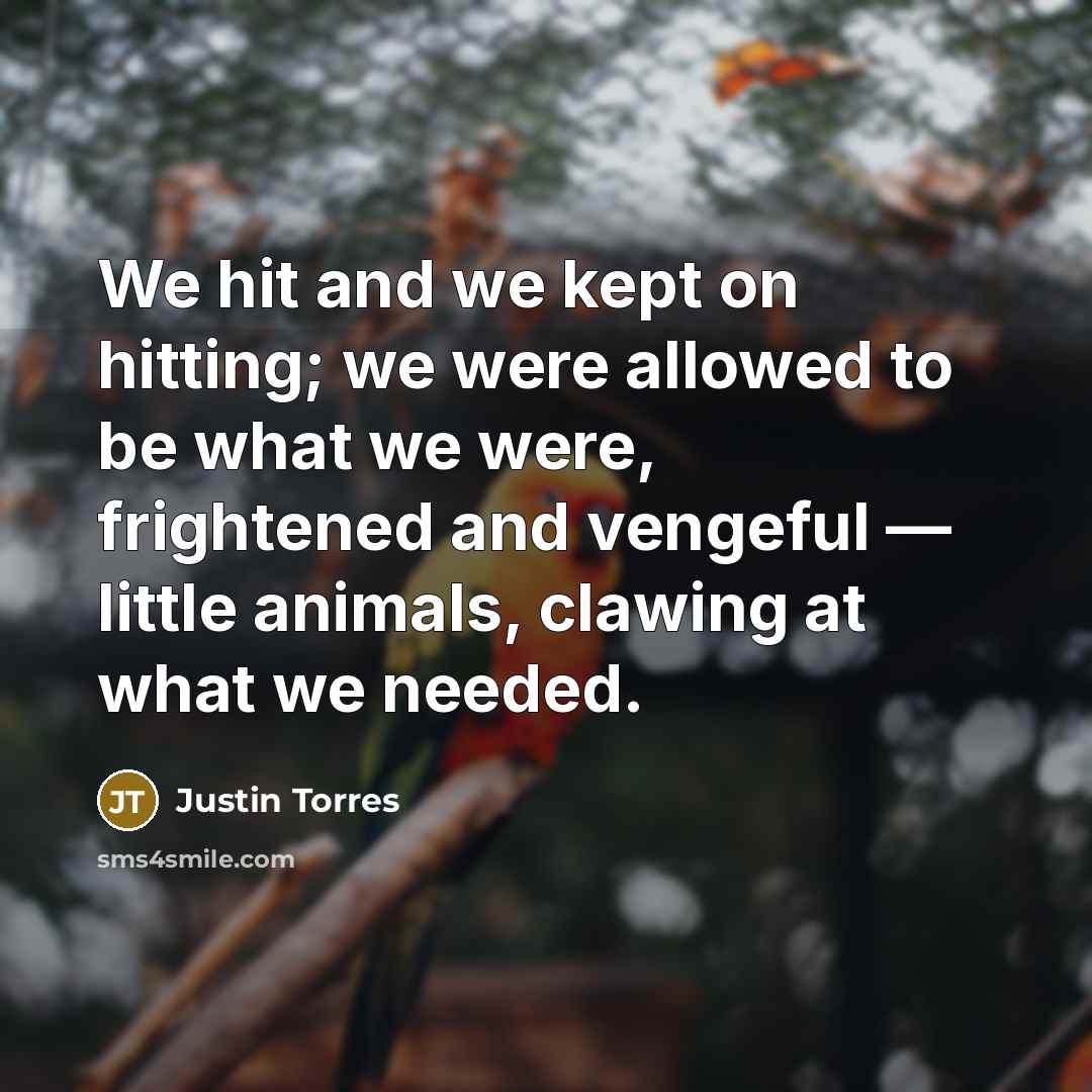 “We hit and we kept on hitting; we were allowed…” quote by Justin Torres