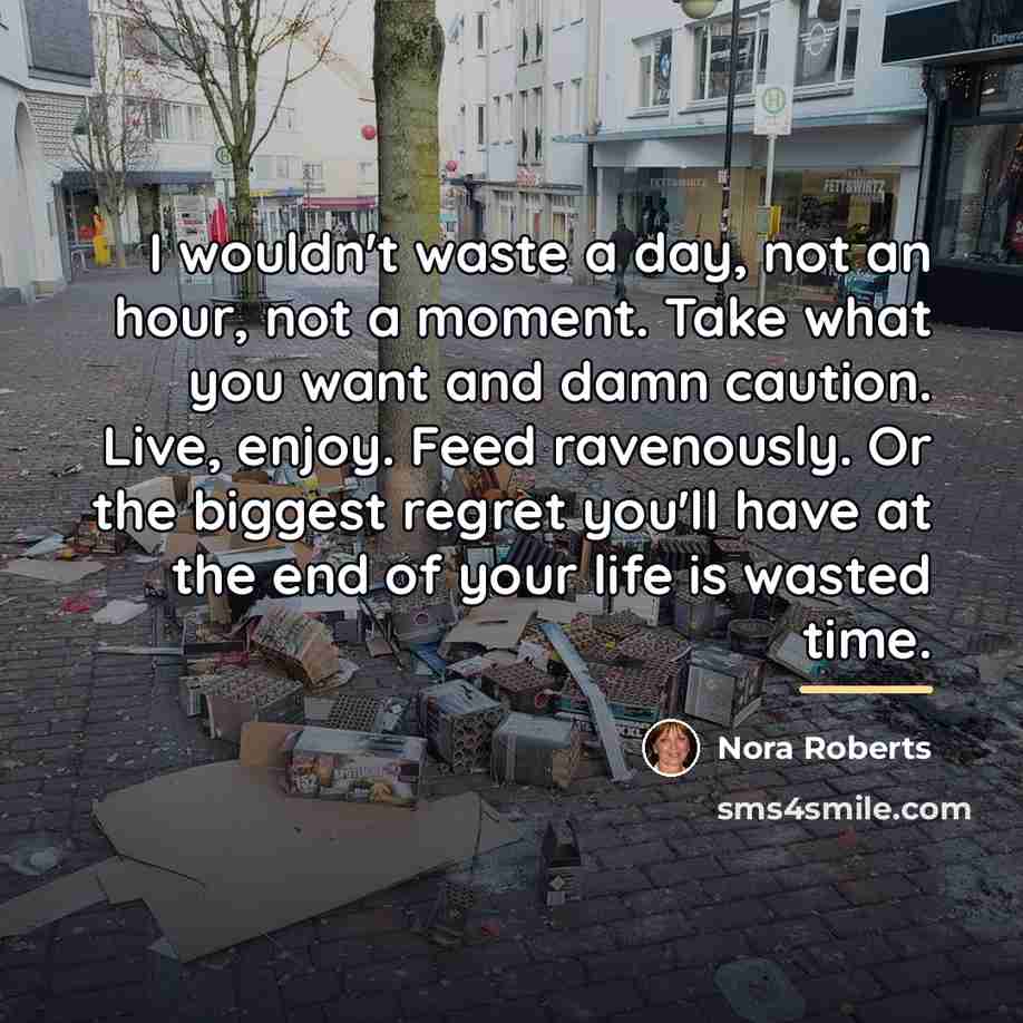 “I wouldn't waste a day, not an hour, not a…” quote by Nora Roberts