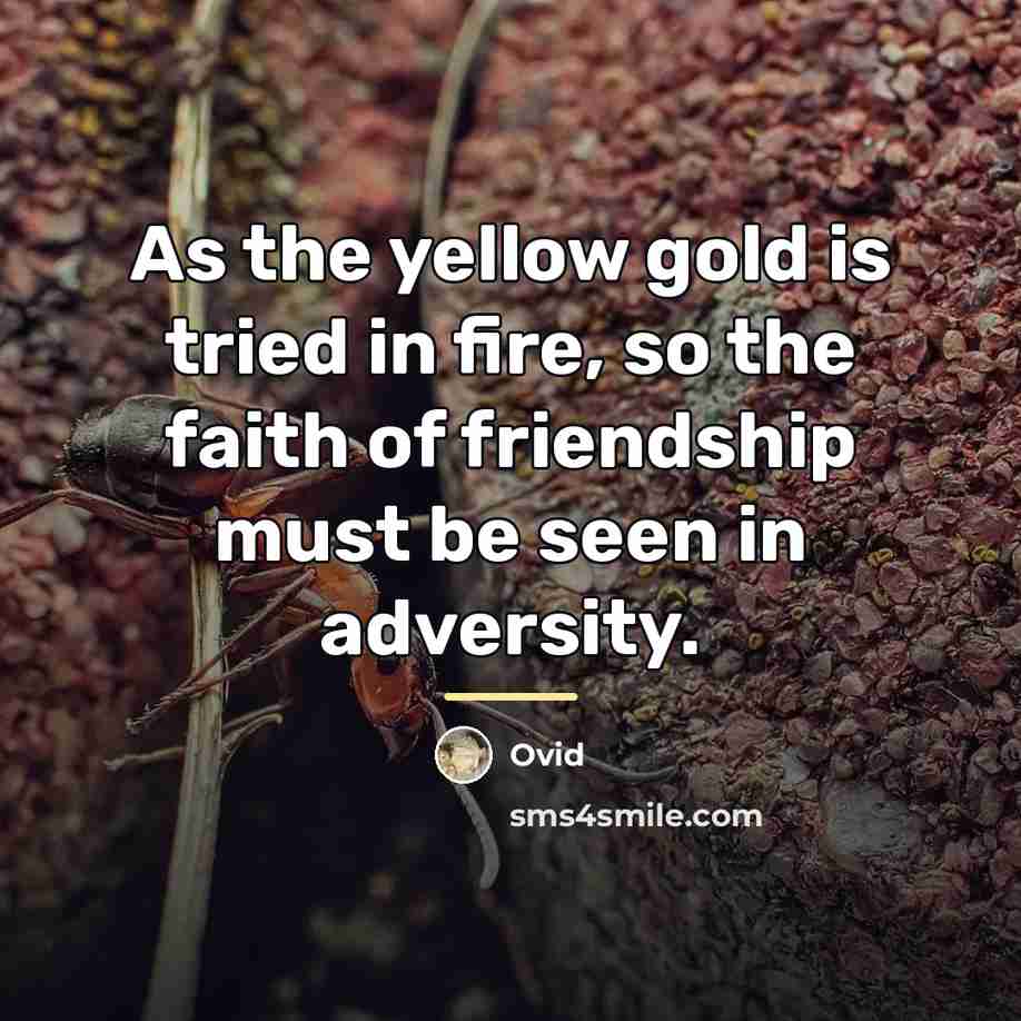 “As the yellow gold is tried in fire, so the…” quote by Ovid