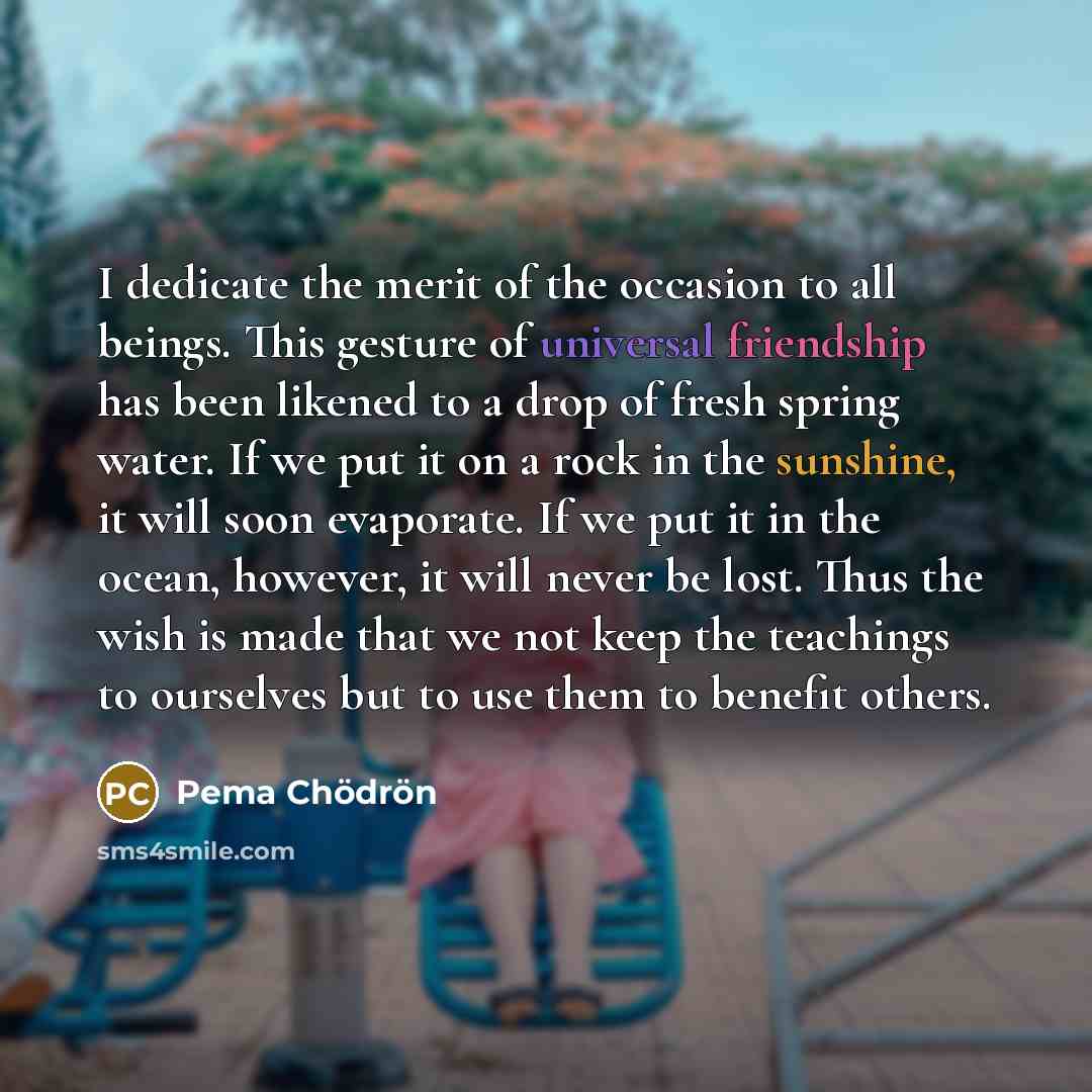 “I dedicate the merit of the occasion to all beings.…” quote by Pema Chodron