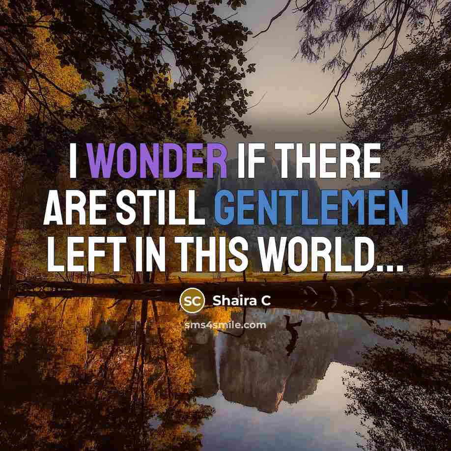 “I wonder if there are still gentlemen left in this world...” quote by Shaira C