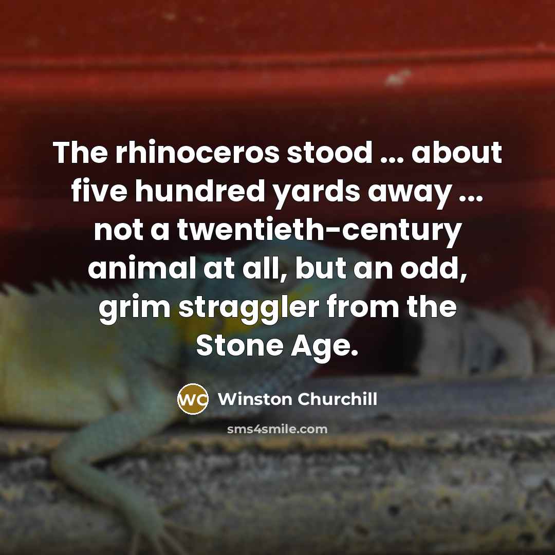 “The rhinoceros stood ... about five hundred yards away ...…” quote by Winston Churchill