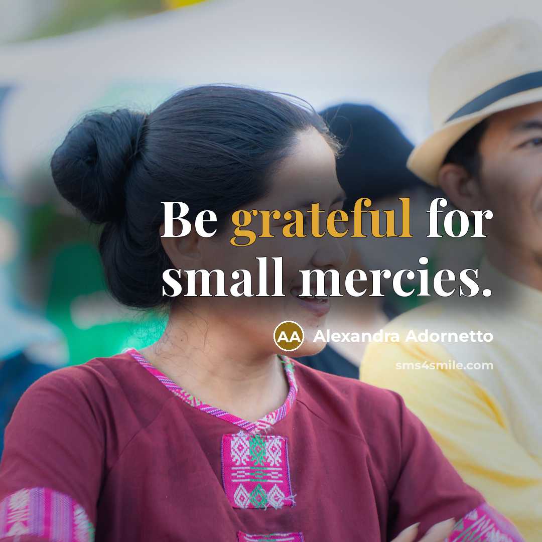 “Be grateful for small mercies.…” quote by Alexandra Adornetto