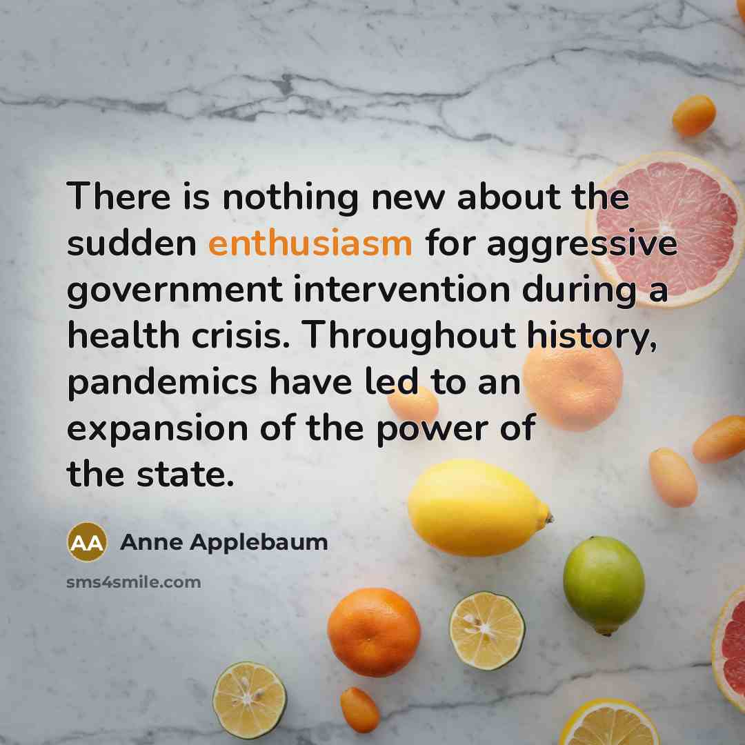 “There is nothing new about the sudden enthusiasm for aggressive…” quote by Anne Applebaum