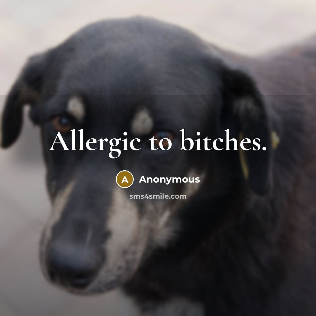 “Allergic to bitches.” quote by Anonymous