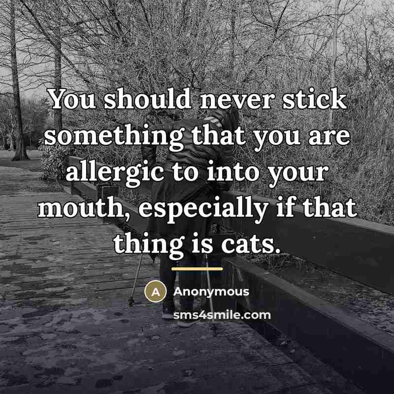 “You should never stick something that you are allergic to…” quote by Anonymous