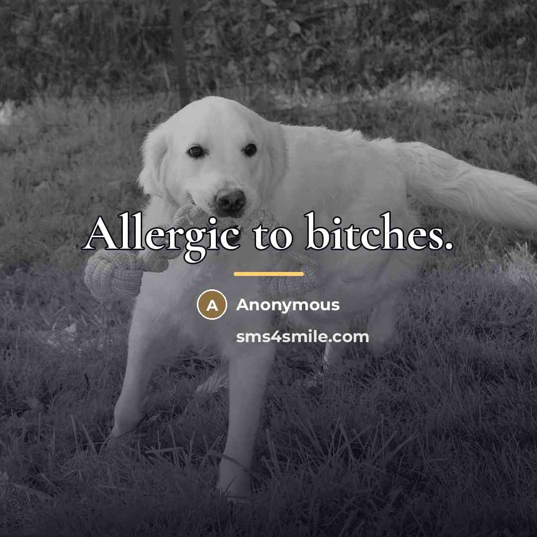 “Allergic to bitches.…” quote by Anonymous