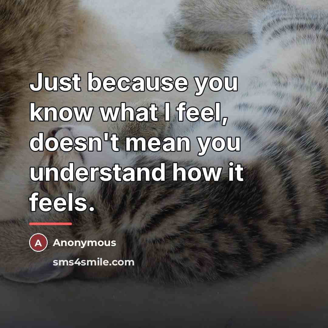 “Just because you know what I feel, doesn't mean you…” quote by Anonymous