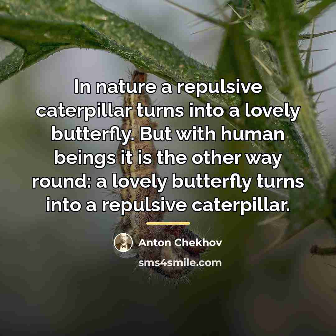 “In nature a repulsive caterpillar turns into a lovely butterfly.…” quote by Anton Chekhov