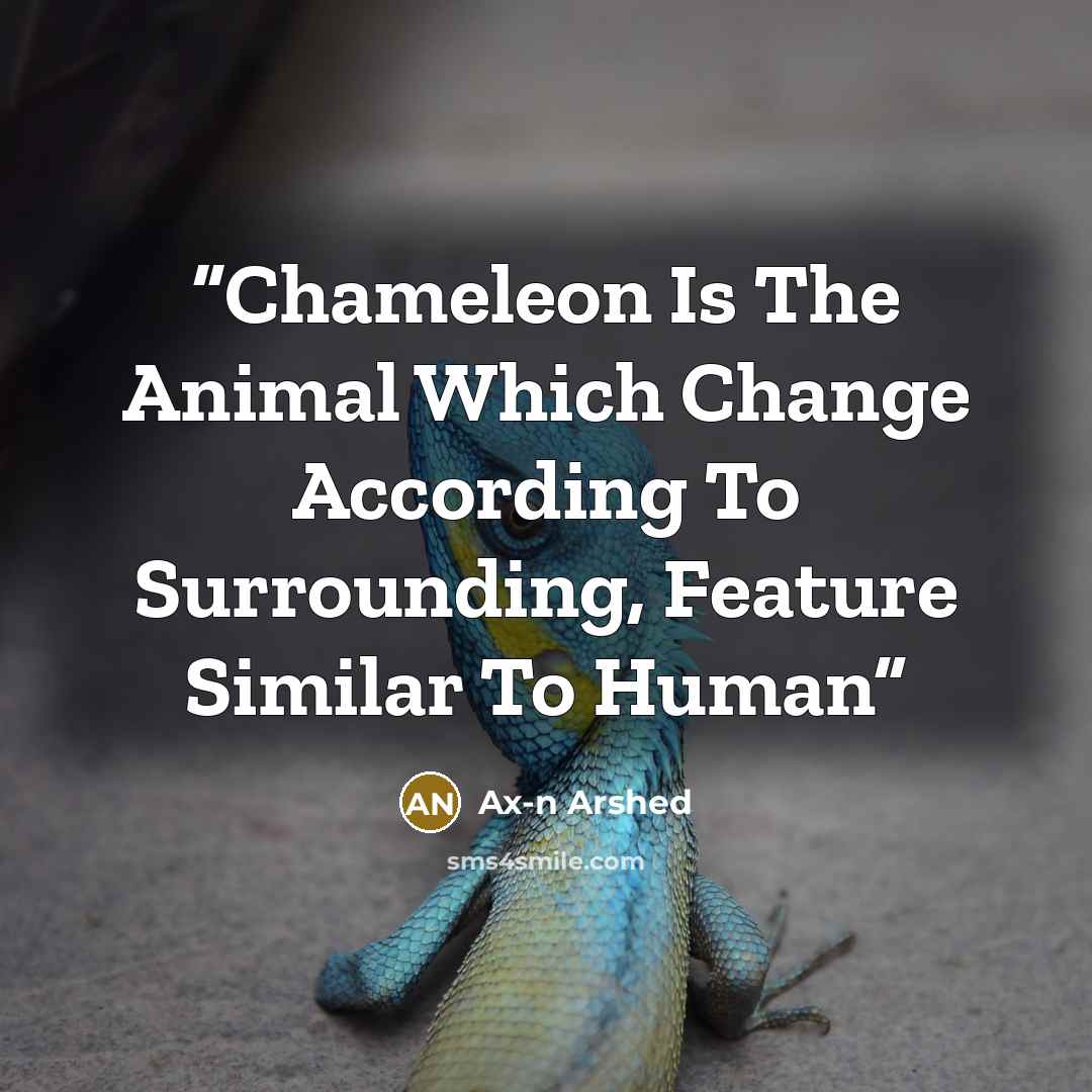 “Chameleon Is The Animal Which Change According To Surrounding, Feature Similar To Human” quote by Ax-n Arshed