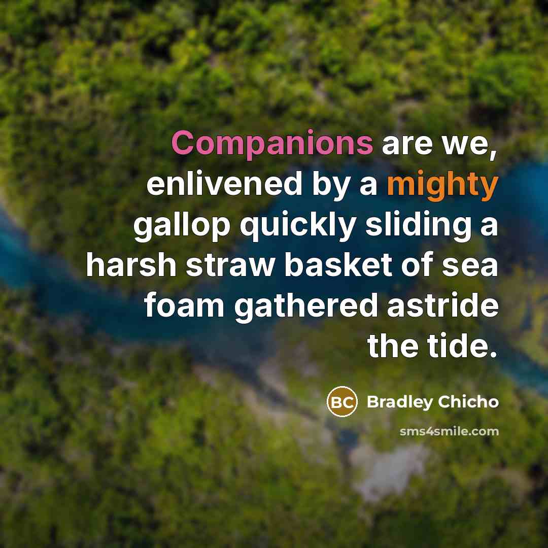 “Companions are we, enlivened by a mighty gallop quickly sliding…” quote by Bradley Chicho