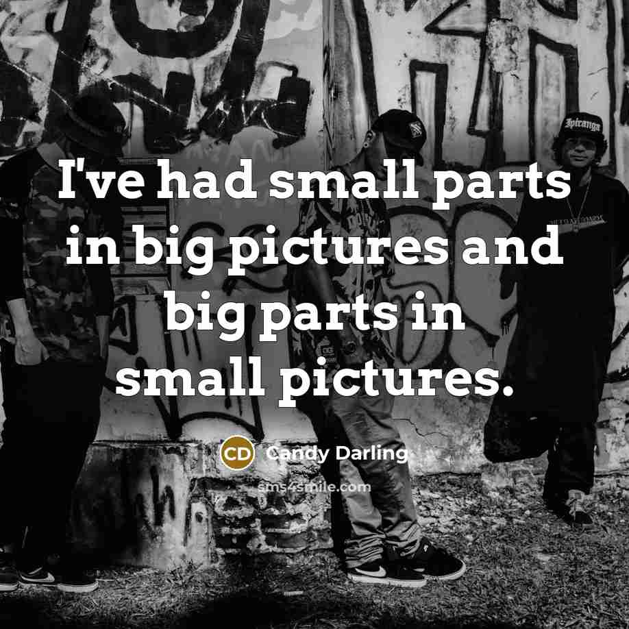 “I've had small parts in big pictures and big parts…” quote by Candy Darling
