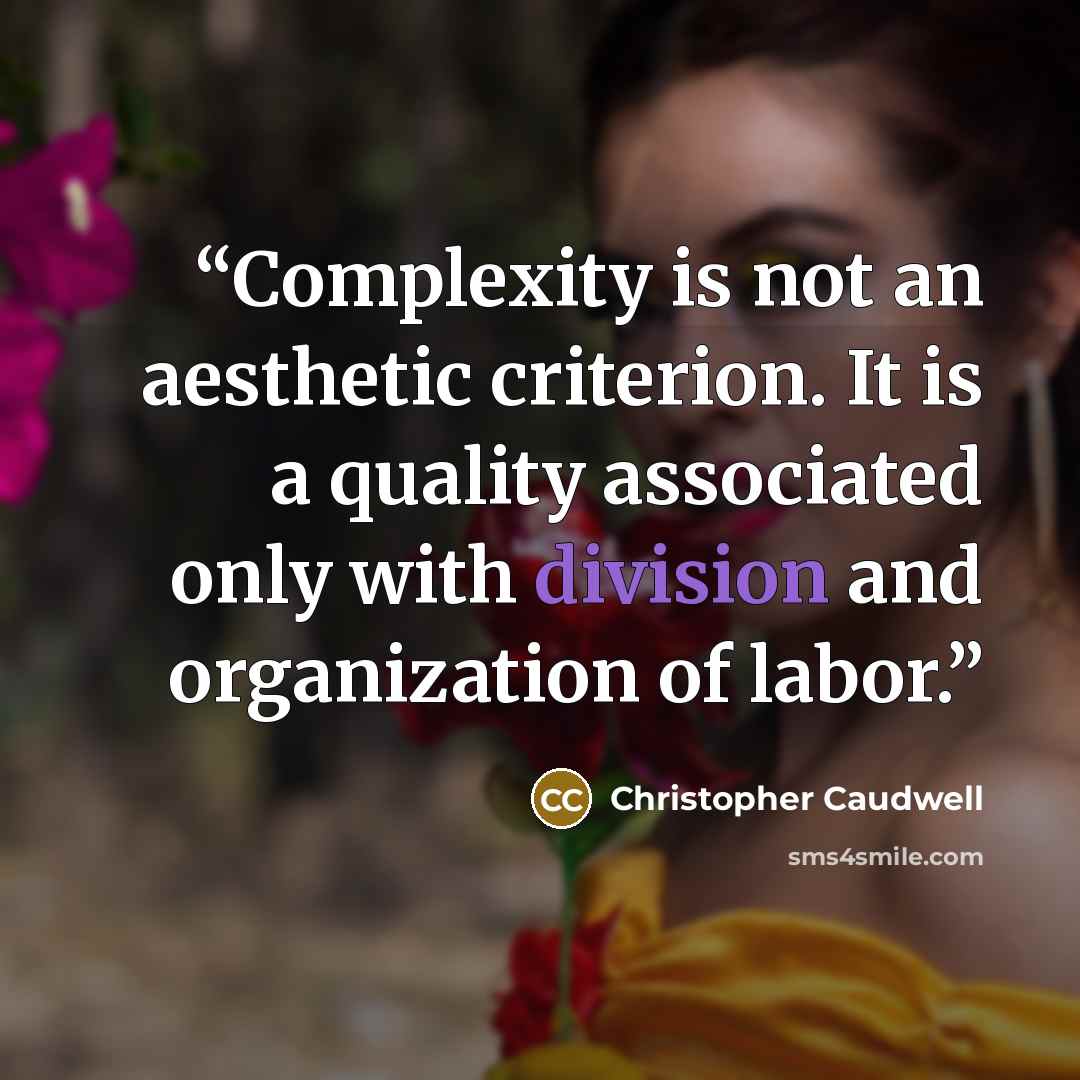 “Complexity is not an aesthetic criterion. It is a quality associated only with division and organization of labor.” quote by Christopher Caudwell