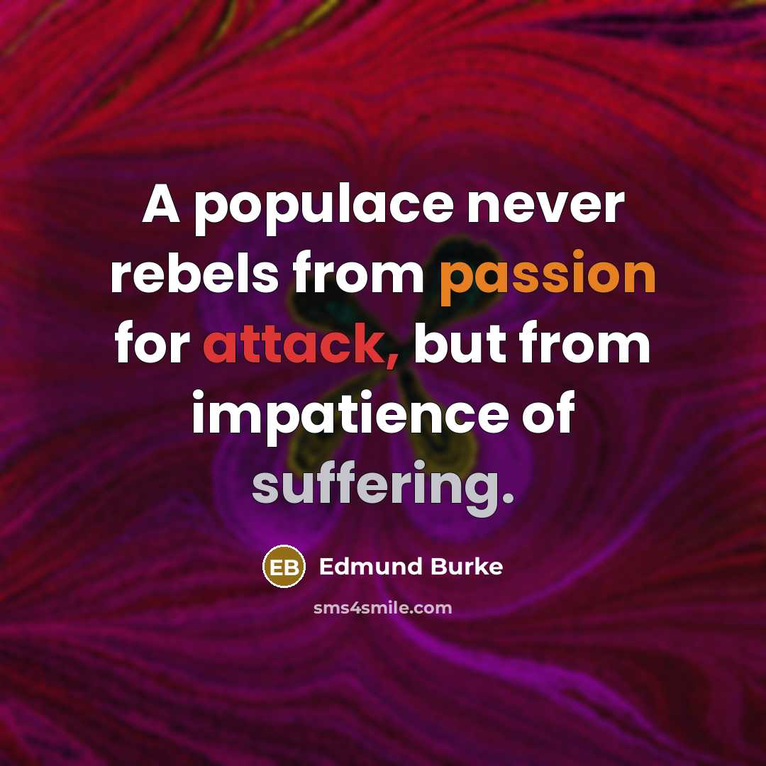 “A populace never rebels from passion for attack, but from…” quote by Edmund Burke