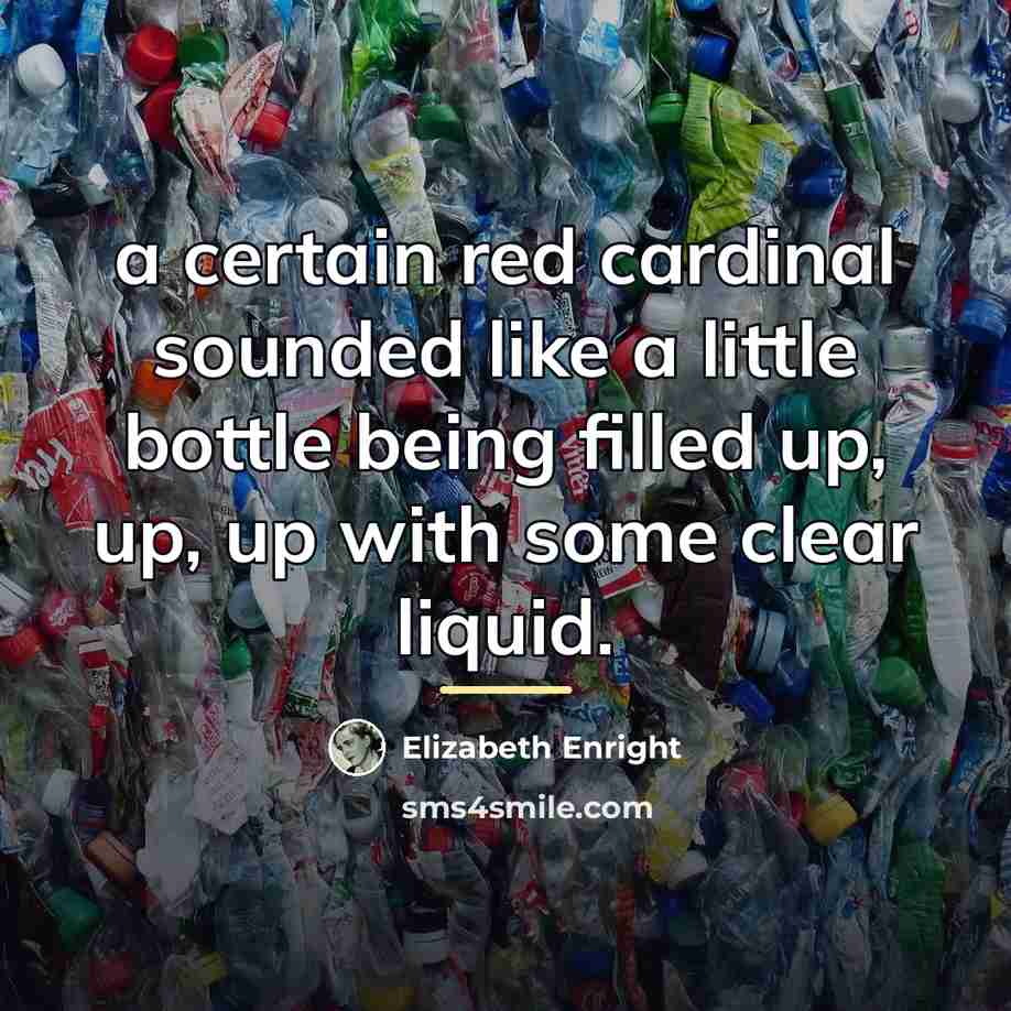 “a certain red cardinal sounded like a little bottle being…” quote by Elizabeth Enright