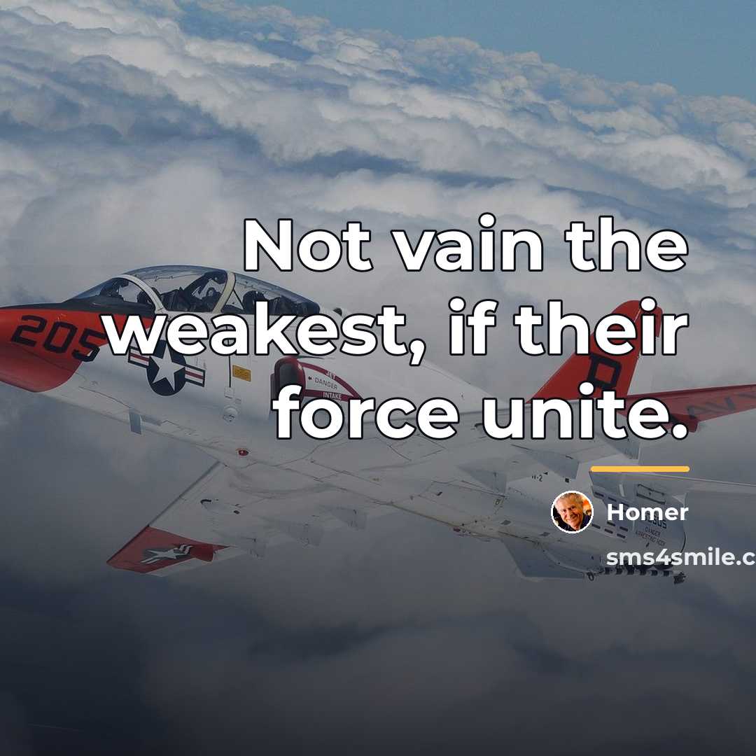 “Not vain the weakest, if their force unite.…” quote by Homer