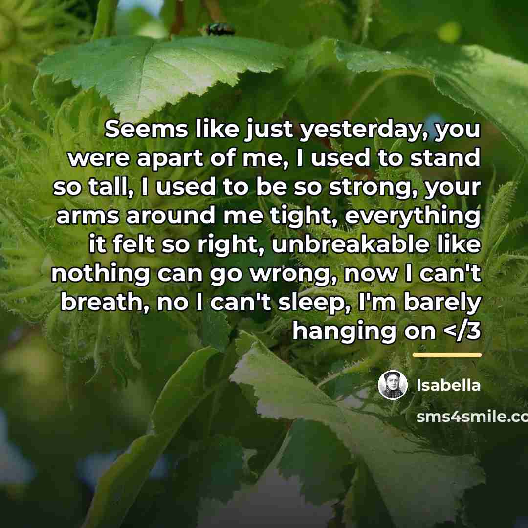 “Seems like just yesterday, you were apart of me, I…” quote by Isabella