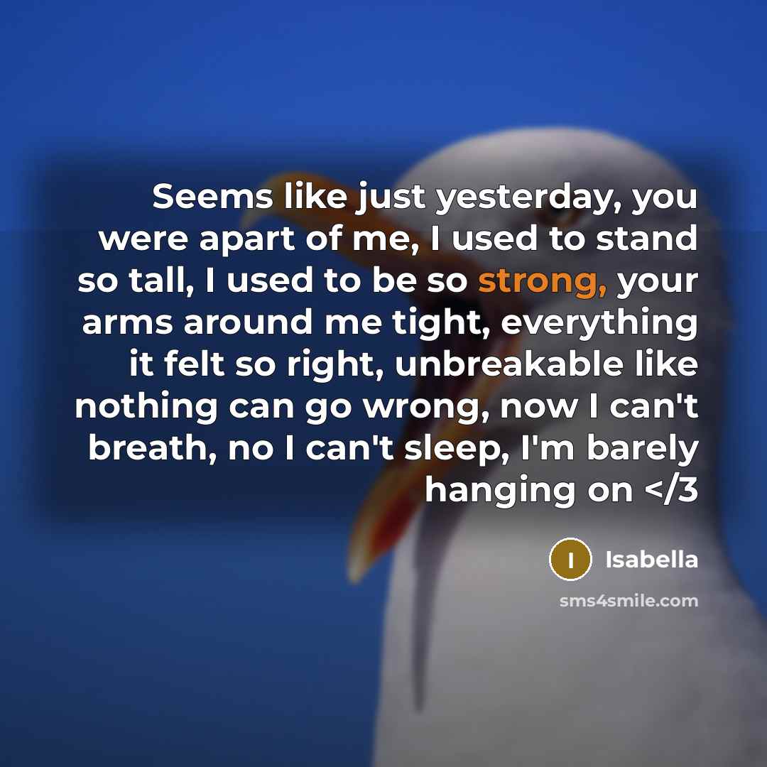 “Seems like just yesterday, you were apart of me, I used to stand so tall, I used to be so strong, your arms around me tight, everything it felt so right, unbreakable like nothing can go wrong, now I can't breath, no I can't sleep, I'm barely hanging on” quote by Isabella