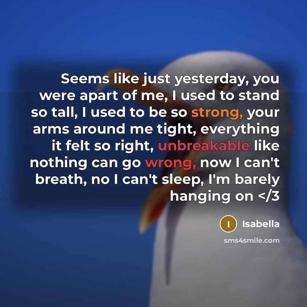 “Seems like just yesterday, you were apart of me, I used to stand so tall, I used to be so strong, your arms around me tight, everything it felt so right, unbreakable like nothing can go wrong, now I can't breath, no I can't sleep, I'm barely hanging on” quote by Isabella