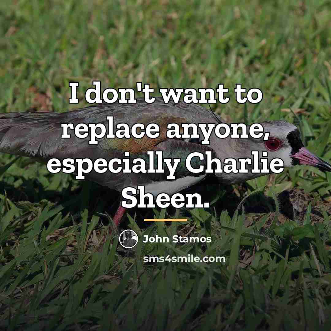 “I don't want to replace anyone, especially Charlie Sheen.…” quote by John Stamos