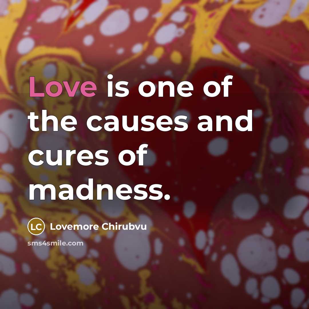 “Love is one of the causes and cures of madness.…” quote by Lovemore Chirubvu