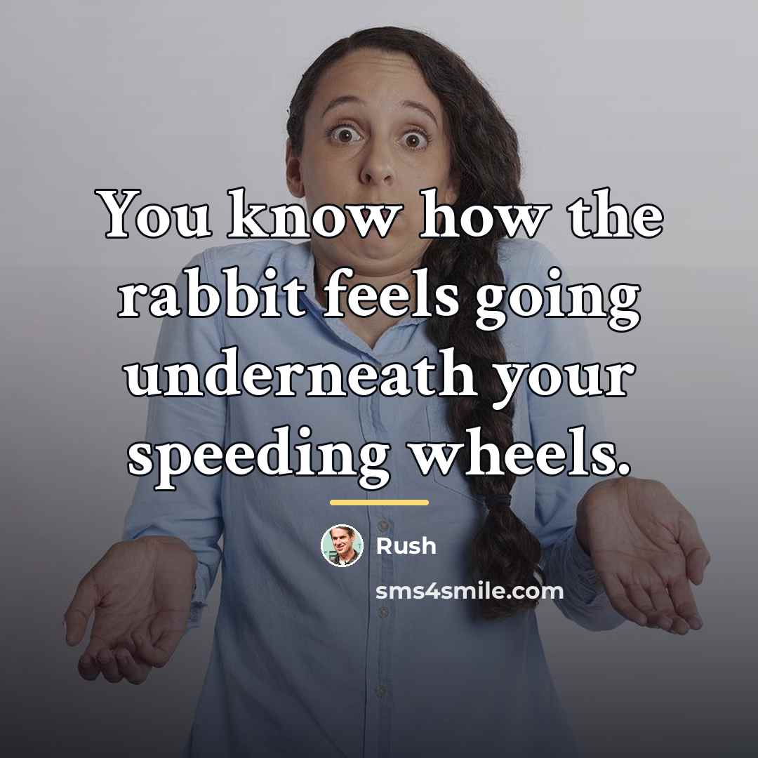 “You know how the rabbit feels going underneath your speeding…” quote by Rush