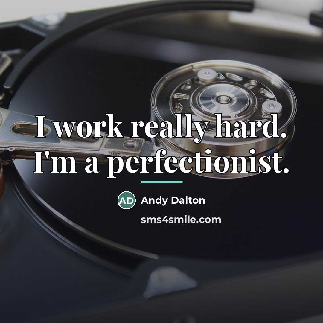 “I work really hard. I'm a perfectionist.…” quote by Andy Dalton