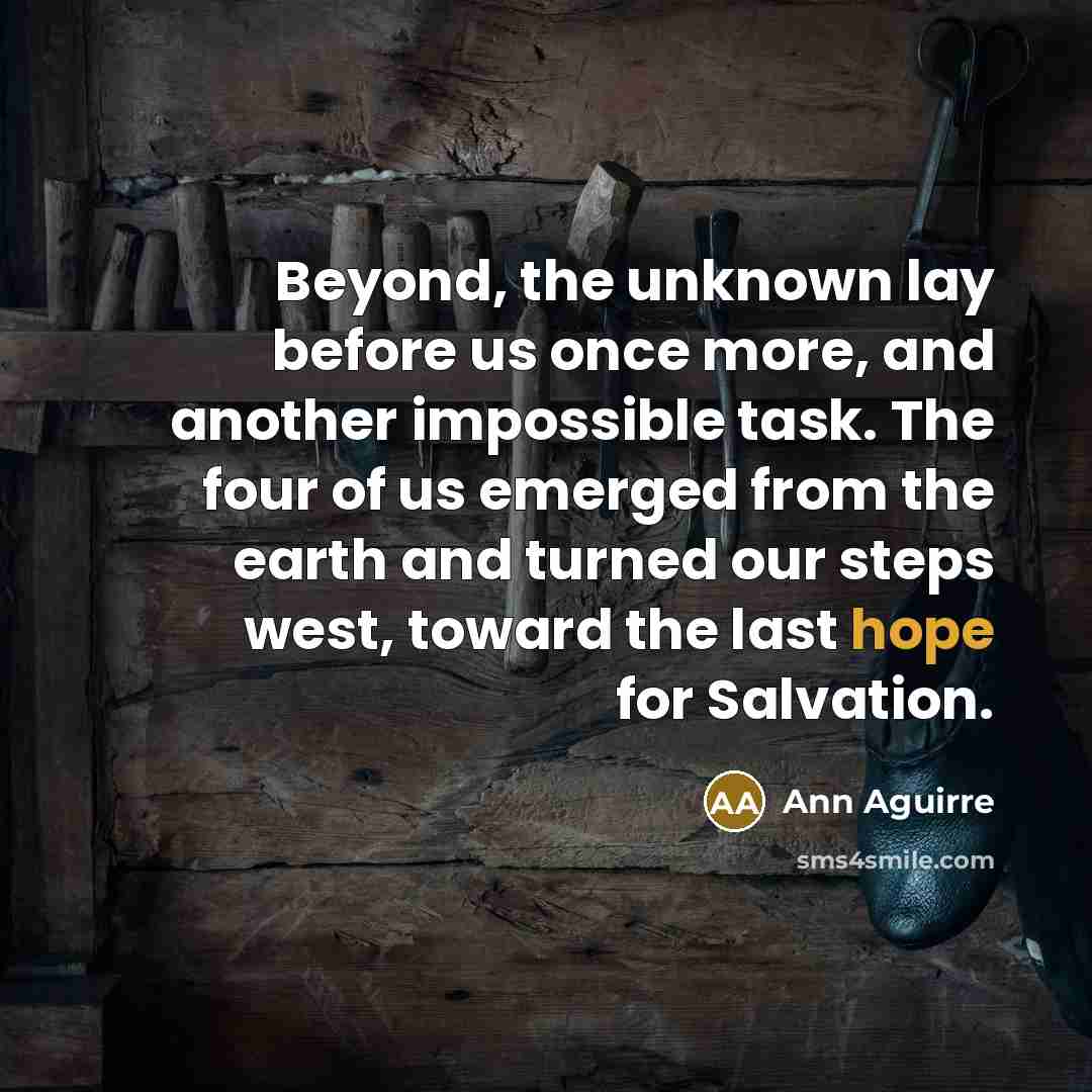 “Beyond, the unknown lay before us once more, and another…” quote by Ann Aguirre