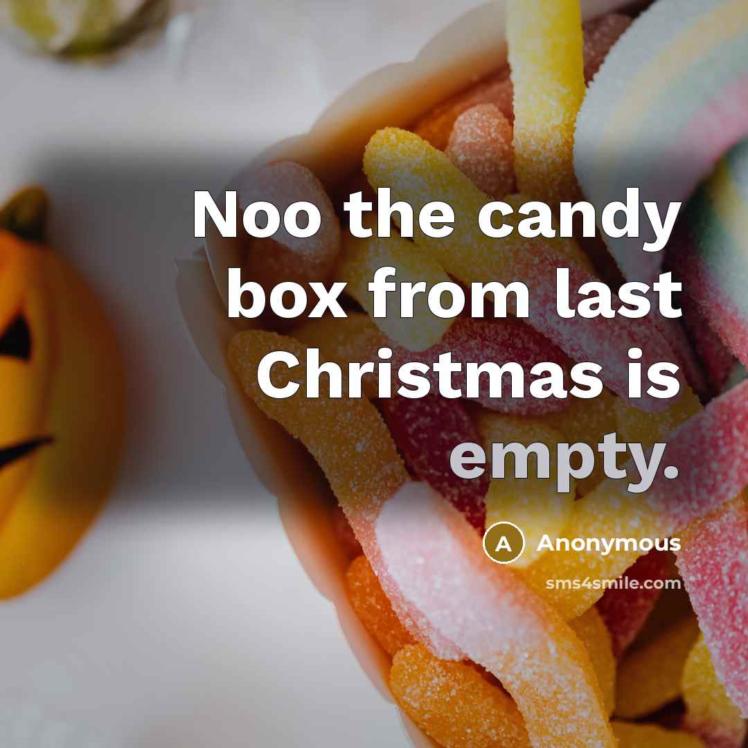 “Noo the candy box from last Christmas is empty.” quote by Anonymous