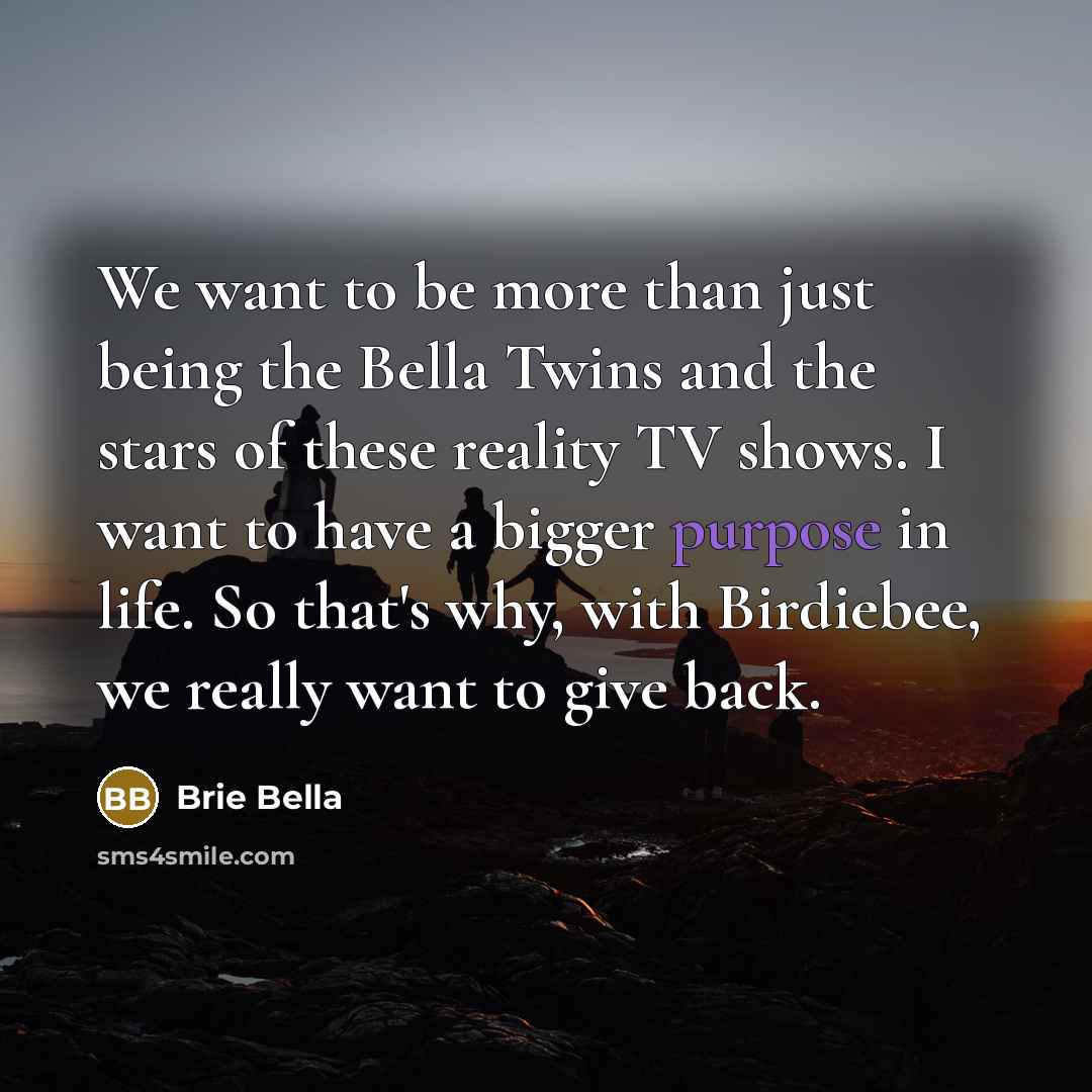 “We want to be more than just being the Bella…” quote by Brie Bella