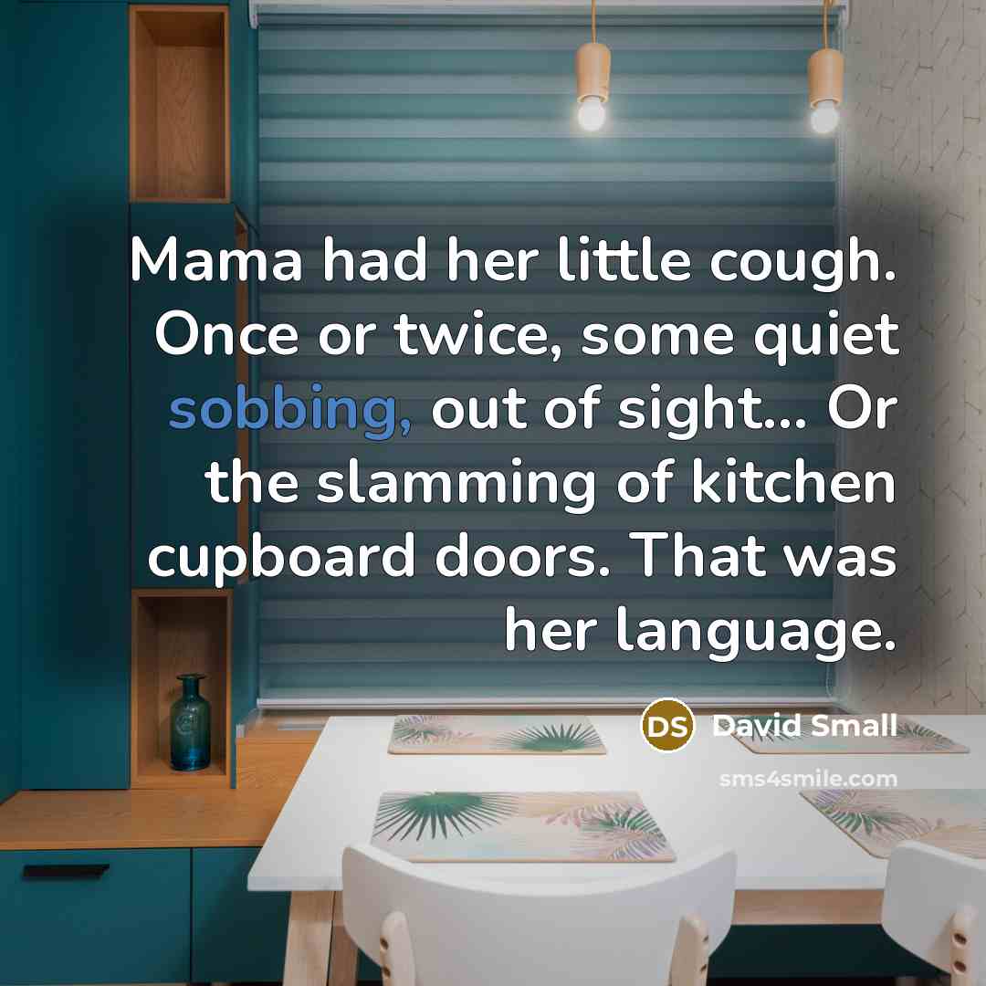 “Mama had her little cough. Once or twice, some quiet…” quote by David Small