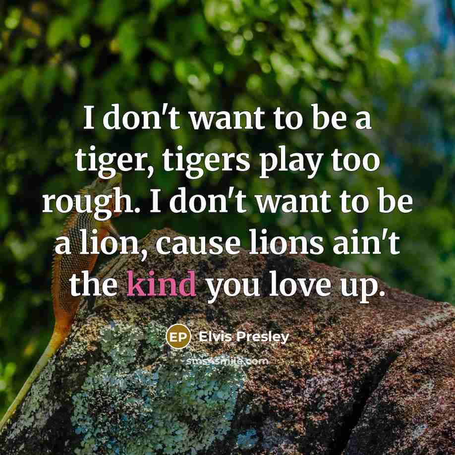 “I don't want to be a tiger, tigers play too…” quote by Elvis Presley