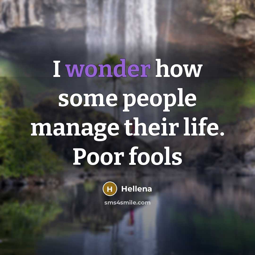 “I wonder how some people manage their life. Poor fools…” quote by Hellena