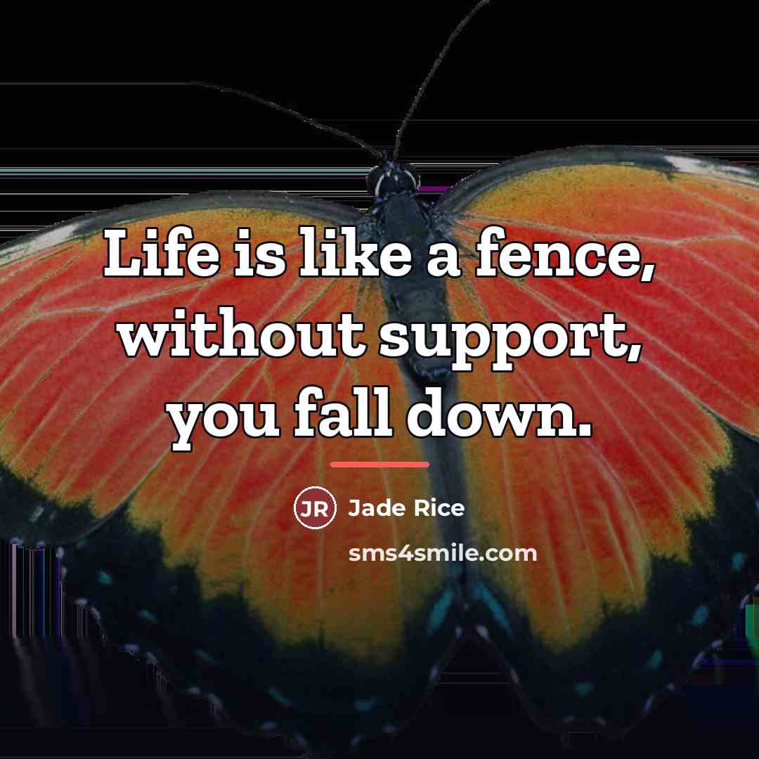 “Life is like a fence, without support, you fall down.…” quote by Anonymous