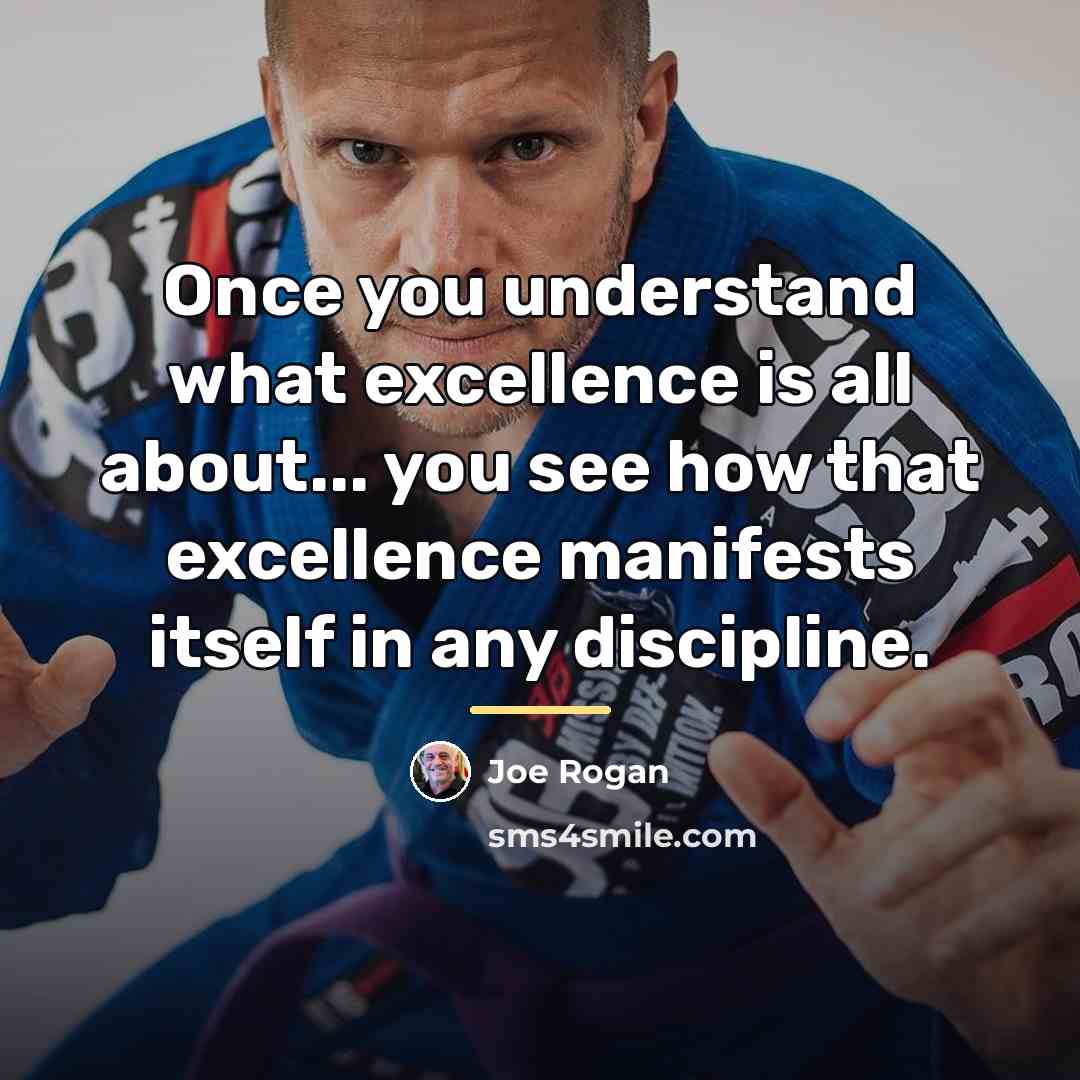 “Once you understand what excellence is all about... you see…” quote by Joe Rogan