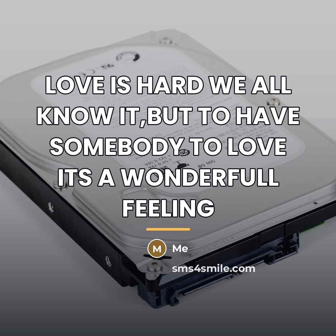 “LOVE IS HARD WE ALL KNOW IT,BUT TO HAVE SOMEBODY…” quote by ME