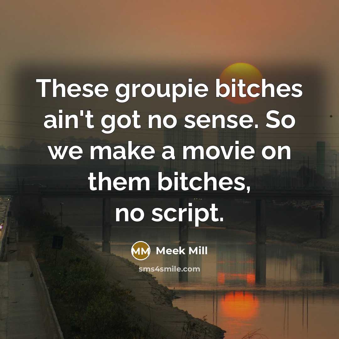 “These groupie bitches ain't got no sense. So we make…” quote by Meek Mill