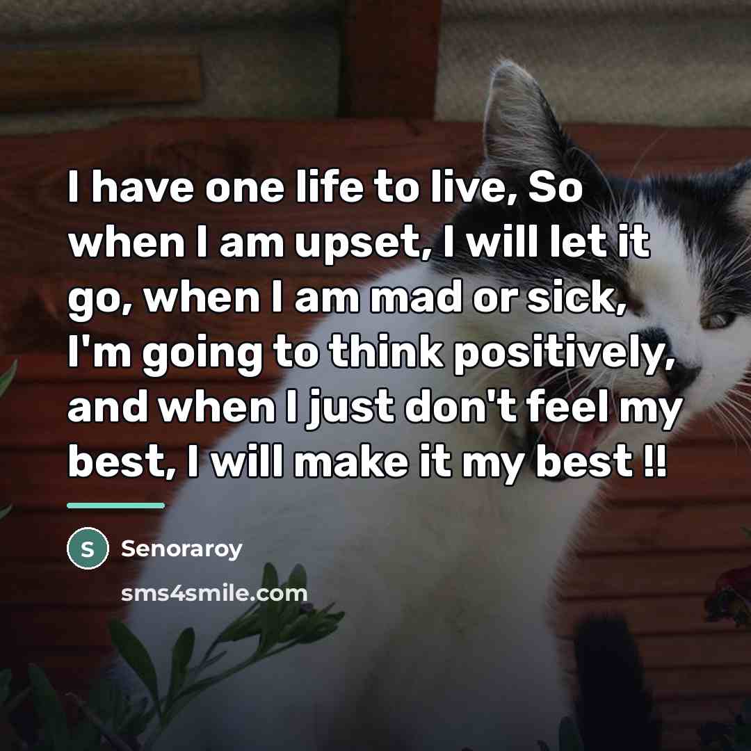 “I have one life to live, So when I am…” quote by Senoraroy