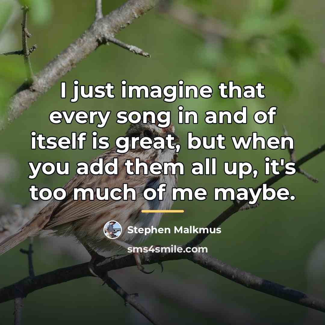 “I just imagine that every song in and of itself…” quote by Stephen Malkmus