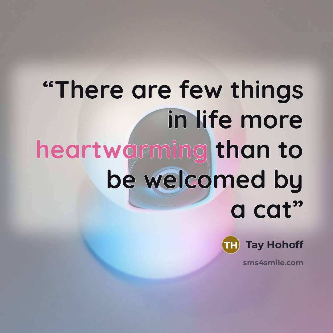 “There are few things in life more heartwarming than to be welcomed by a cat” quote by Tay Hohoff