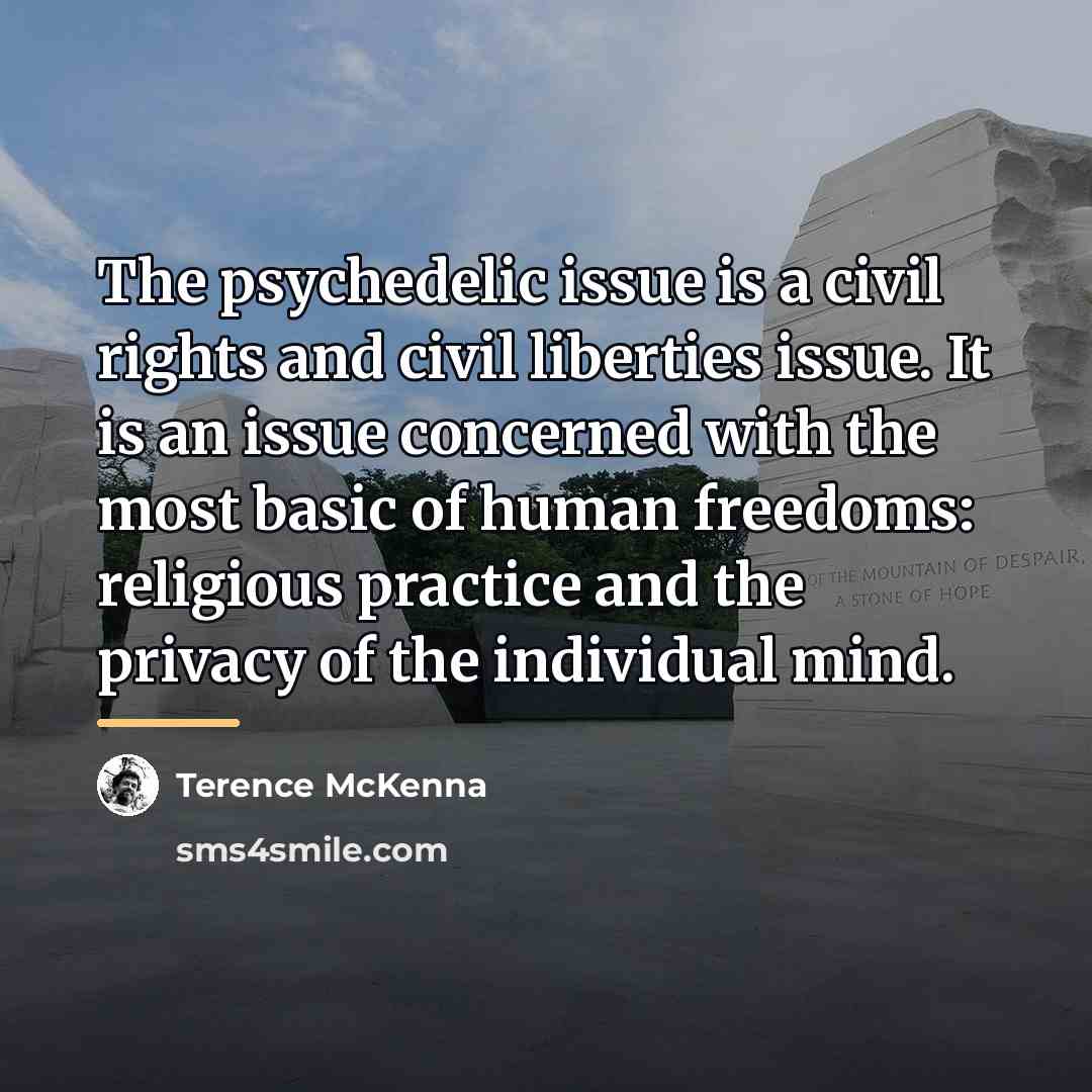 “The psychedelic issue is a civil rights and civil liberties…” quote by Terence McKenna