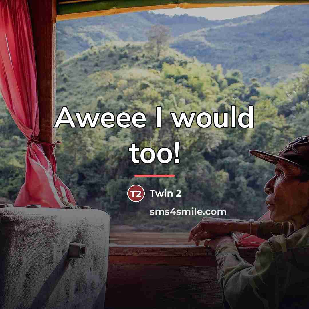 “Aweee I would too!…” quote by Twin 2